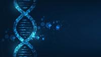 DNA